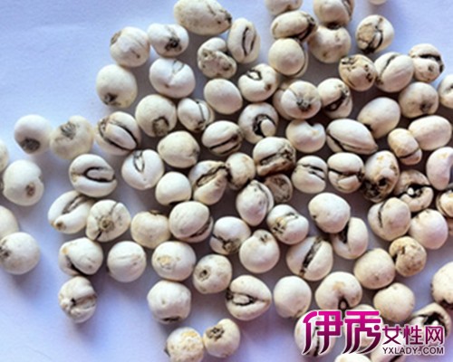 川贝的作用与功效介绍